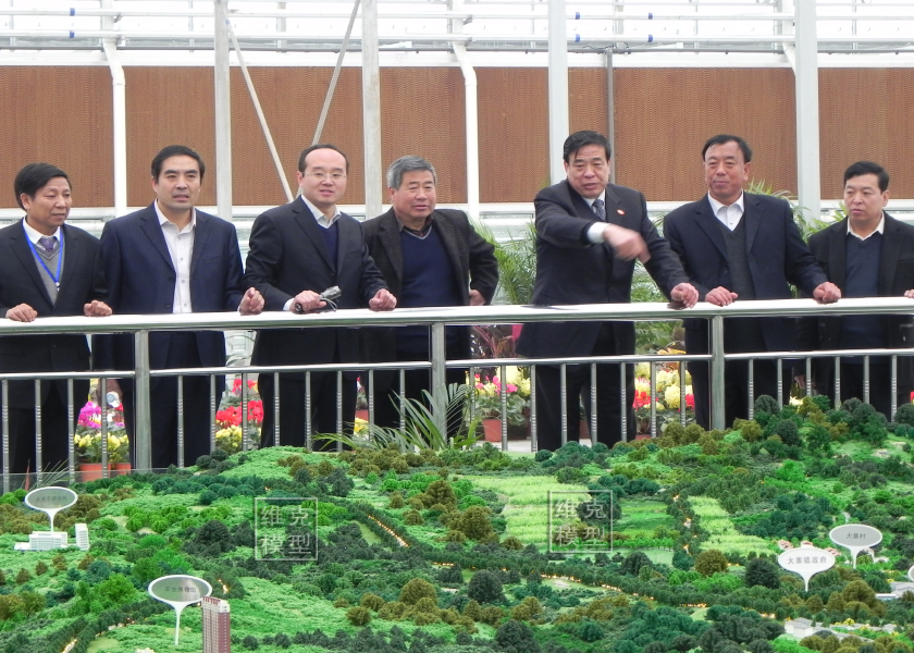 山（shān）西大寨规划