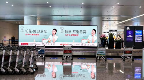 十一 黄金周机场造势,铂燕燕窝开启 传统 营养食品与 现代 智能生产相结合的鲜泡时代