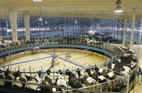 按下重启键后,中国企业怎么样了