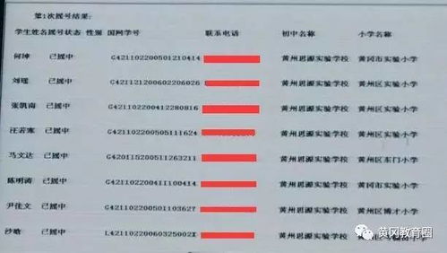 264名小升初学生摇号录取启黄中学、黄冈外校、黄州思源学校，附录取名单