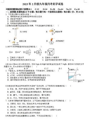 2023年湖北黄冈启黄中学九下2月月考化学试题(下载版)