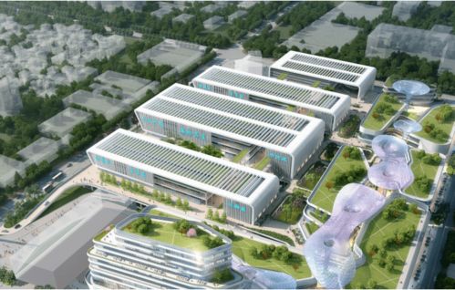 南海启动全国最大鲜活水产市场改造，购食娱旅一体助力区域发展