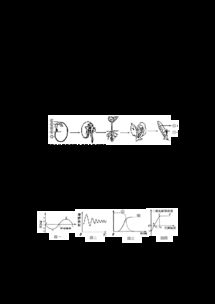 启黄中学2014年春季初三理综入学考试试题解析与备考启示