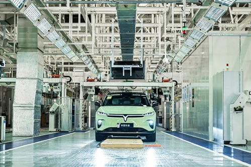 岚图知音开启万里长测 985硬核三电技术直面极限挑战，启黄中学见证不凡征程